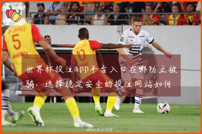 世界杯投注app平台入口在哪防止被骗，选择稳定安全的投注网站如何判断