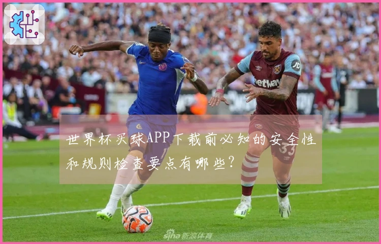 世界杯买球APP下载前必知的安全性和规则检查要点有哪些？