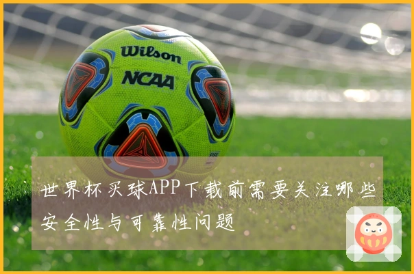世界杯买球APP下载前需要关注哪些安全性与可靠性问题