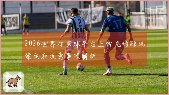 2026世界杯买球平台上常见的踩坑案例和注意事项解析