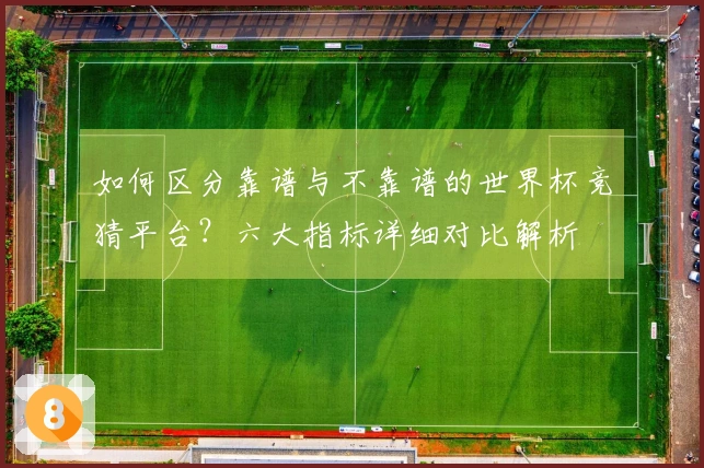 如何区分靠谱与不靠谱的世界杯竞猜平台？六大指标详细对比解析