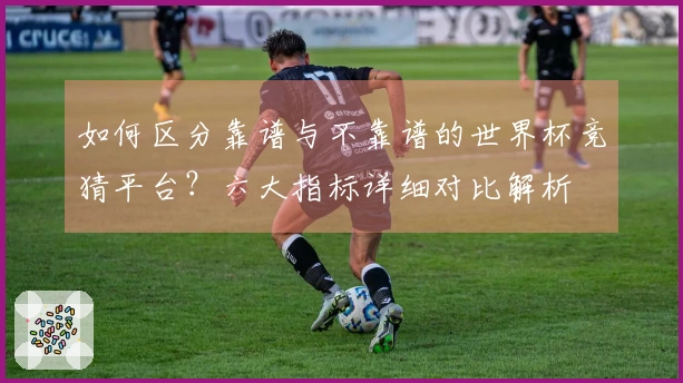 如何区分靠谱与不靠谱的世界杯竞猜平台？六大指标详细对比解析